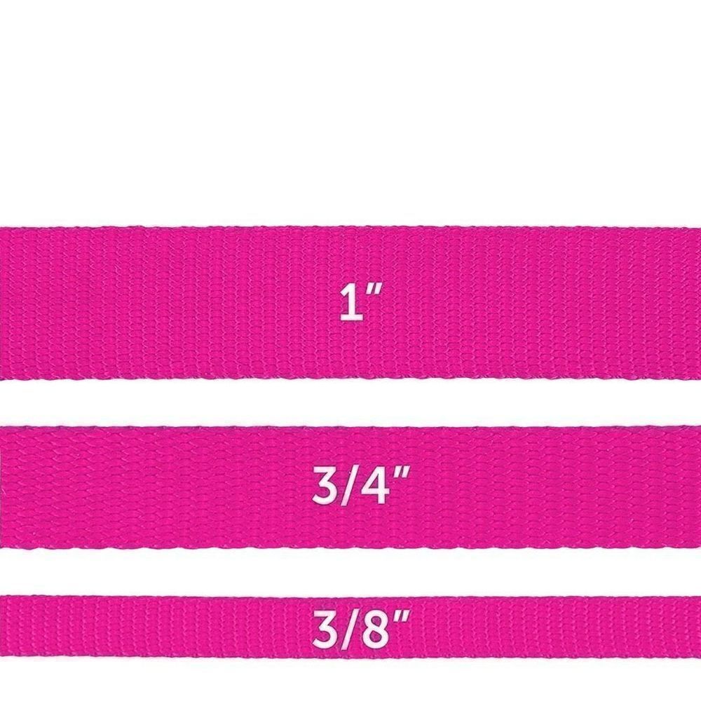 PetSafe Medium Leash, 3/4" × 4', Raspberry Pink NWT‎ - Picture 3 of 6